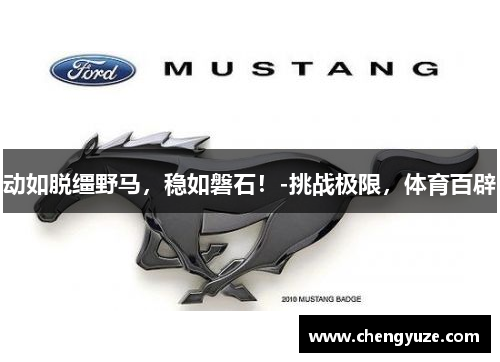 动如脱缰野马，稳如磐石！-挑战极限，体育百辟